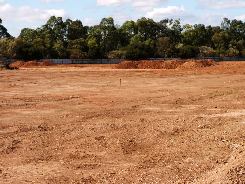 Cleared and Graded Land