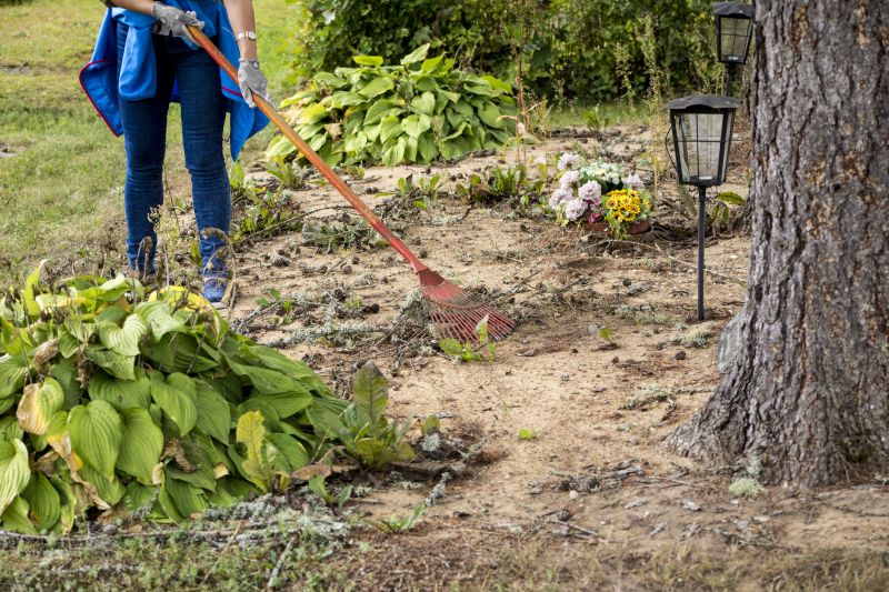 Vegetation Removal Services