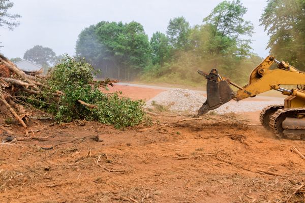 Cost of Ground Clearing in Aurora