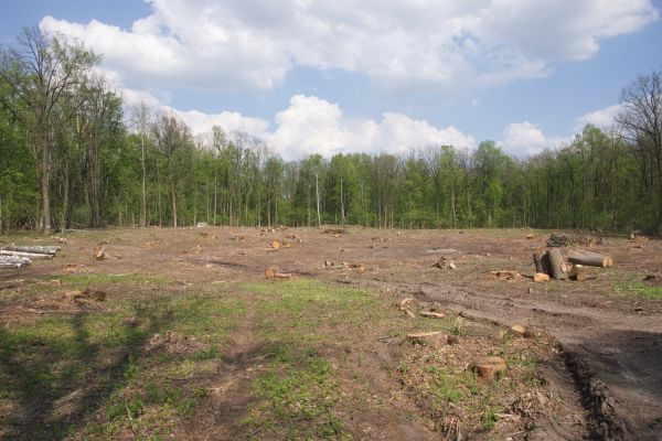 Cost of Pasture Clearing in Aurora