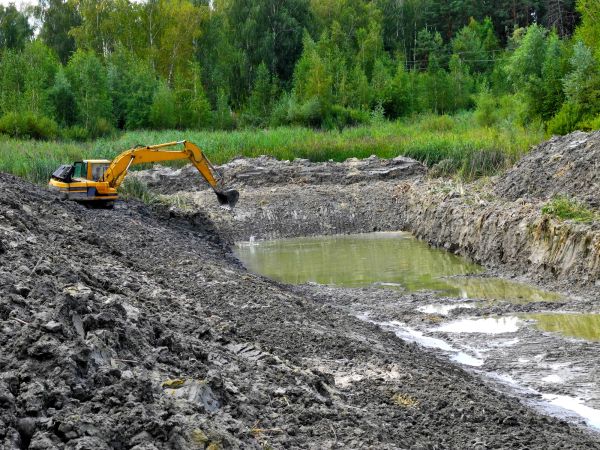 Cost of Lake Lot Clearing in Aurora