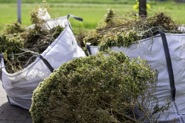Cost of Bushes Clearing in Aurora