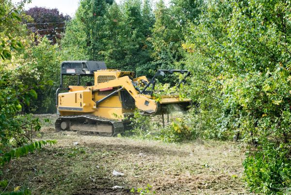 Cost of Pathway Clearing in Aurora