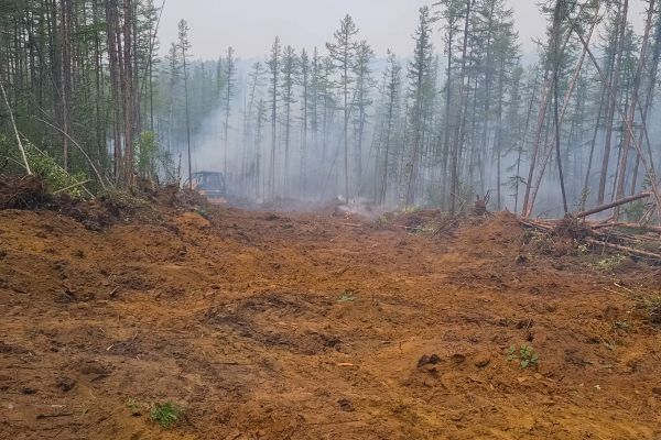 Cost of Hill Clearing in Aurora