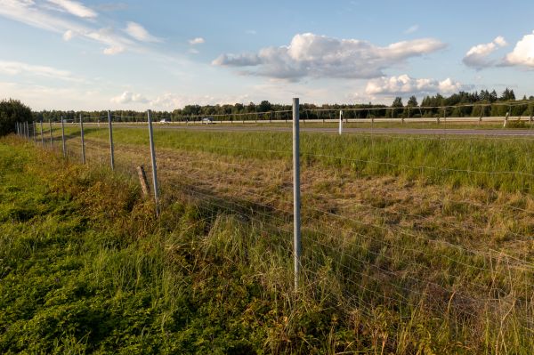Cost of Property Line Clearing in Aurora