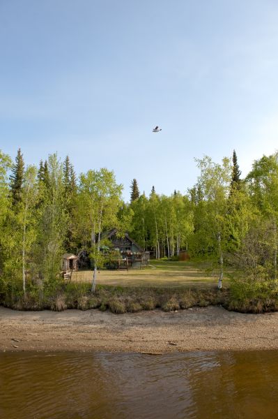 Cost of Waterfront Land Clearing in Aurora