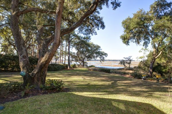 Cost of Lakefront Property Clearing in Aurora