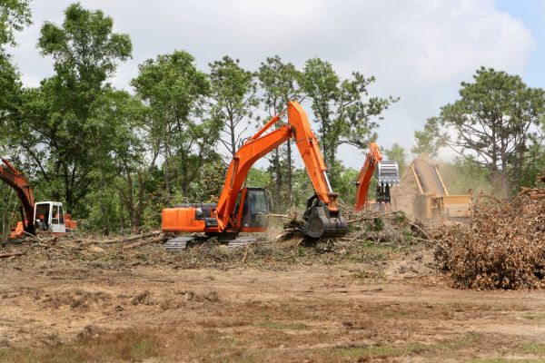 Cost of Commercial Lot Clearing in Aurora